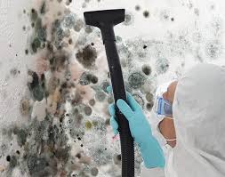 Mold Remediation for Rental Properties in Ridgely, MD